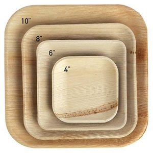 Plam Plate